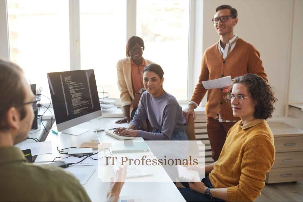 IT Professionals