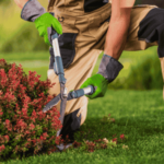 Agriculture Engineer Job in Dubai