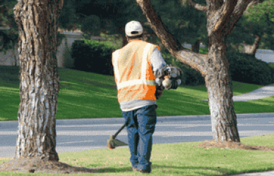 Farm Worker Job in New Zealand