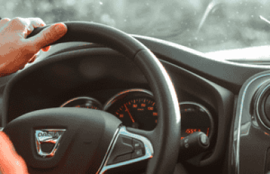 Driver Job